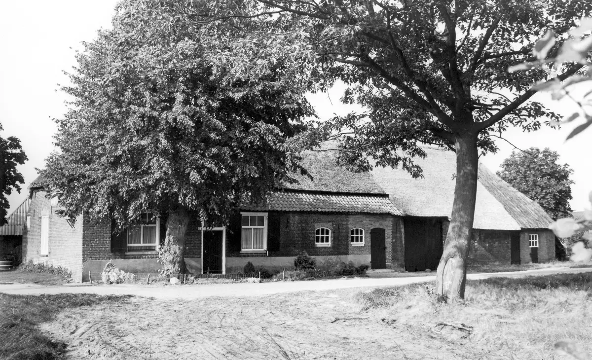 Historische zwart-witfoto van een boerderij in Lierop (4 van 6)