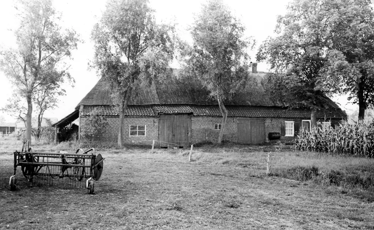 Historische zwart-witfoto van een boerderij in Lierop (5 van 6)